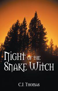 Night of the Snake Witch book cover