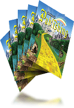 Large posters 23 x 35 (5 count)