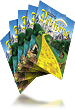 Large posters 23 x 35 (5 count)