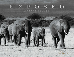 Exposed by M. Rivero published by Outskirts Press.