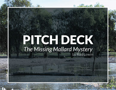 The Missing Mallard Mystery Pitch Deck for Film/TV Adaptation